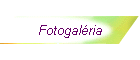 Fotogal�ria